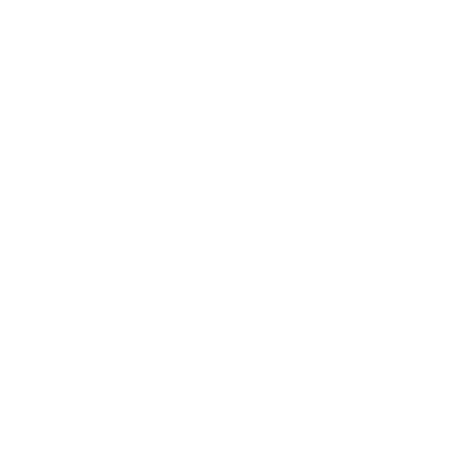 Dziki Byk Logo